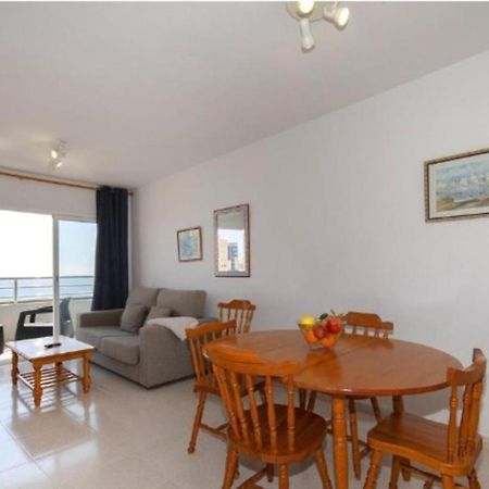 Homeincalpe Apolo XIV المظهر الخارجي الصورة