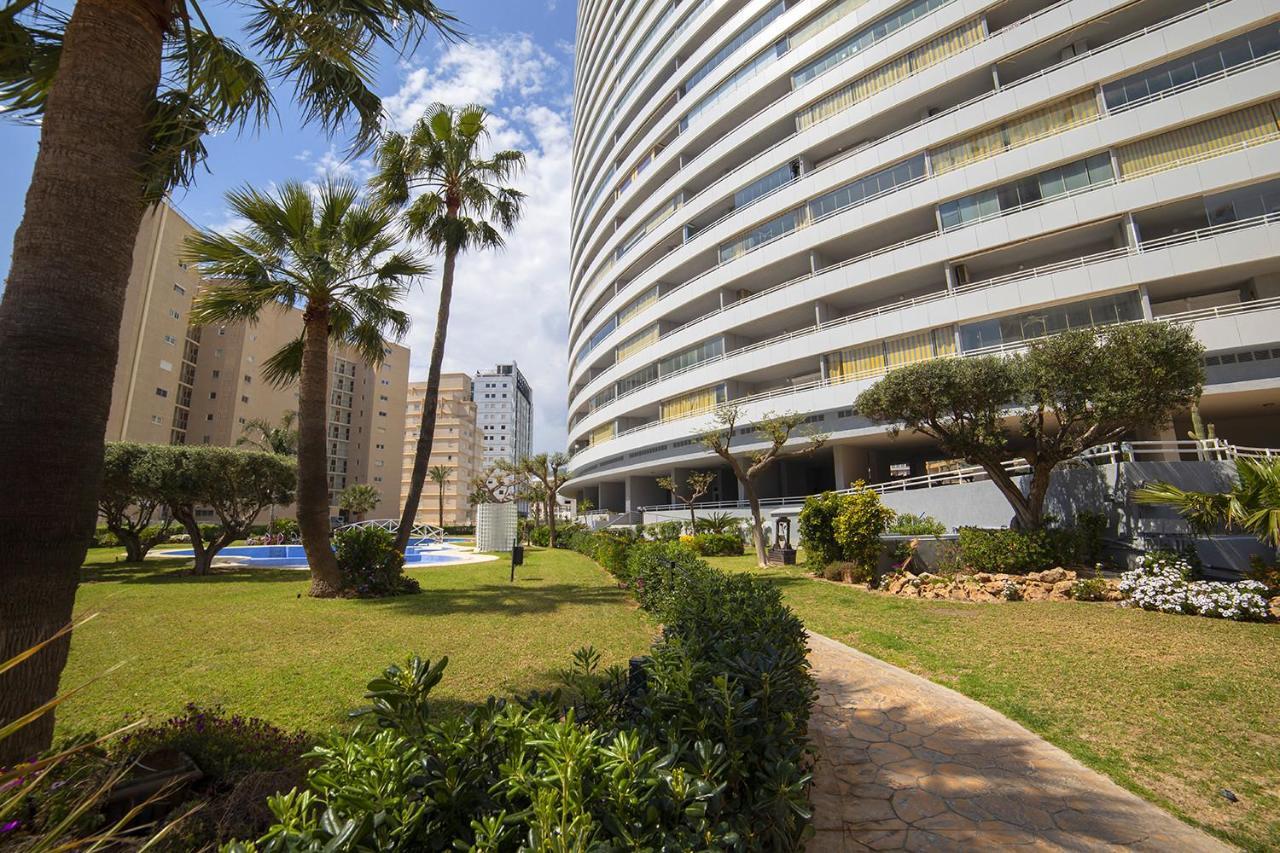 Homeincalpe Apolo XIV المظهر الخارجي الصورة