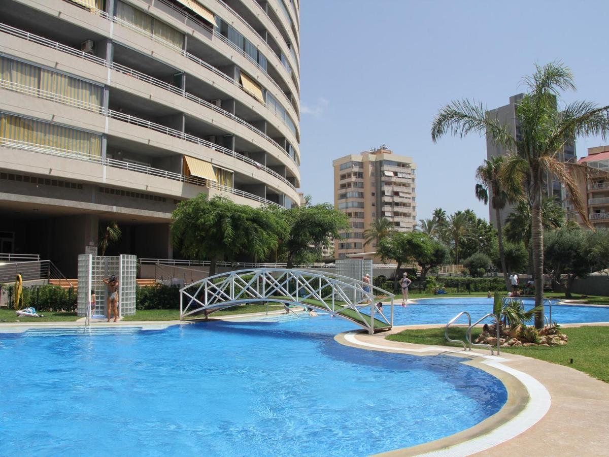 Homeincalpe Apolo XIV المظهر الخارجي الصورة