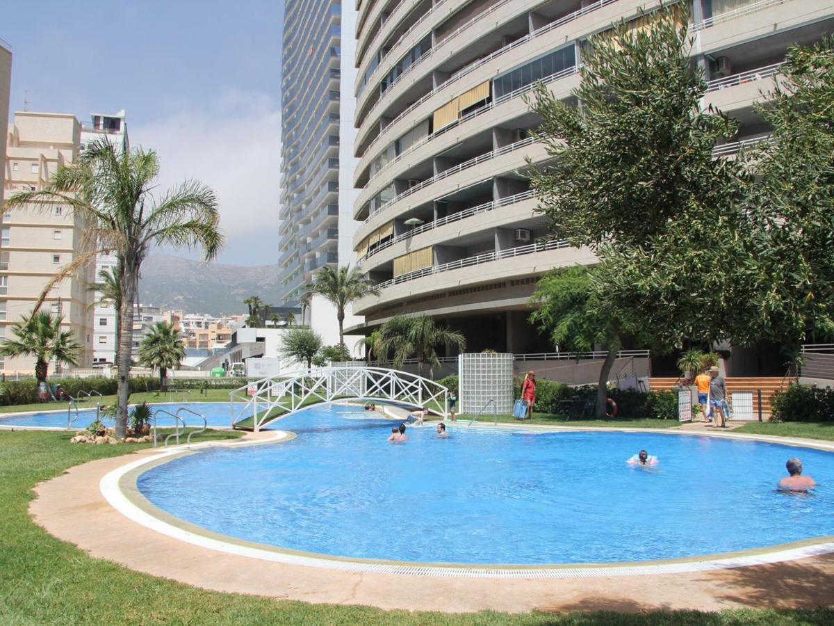 Homeincalpe Apolo XIV المظهر الخارجي الصورة